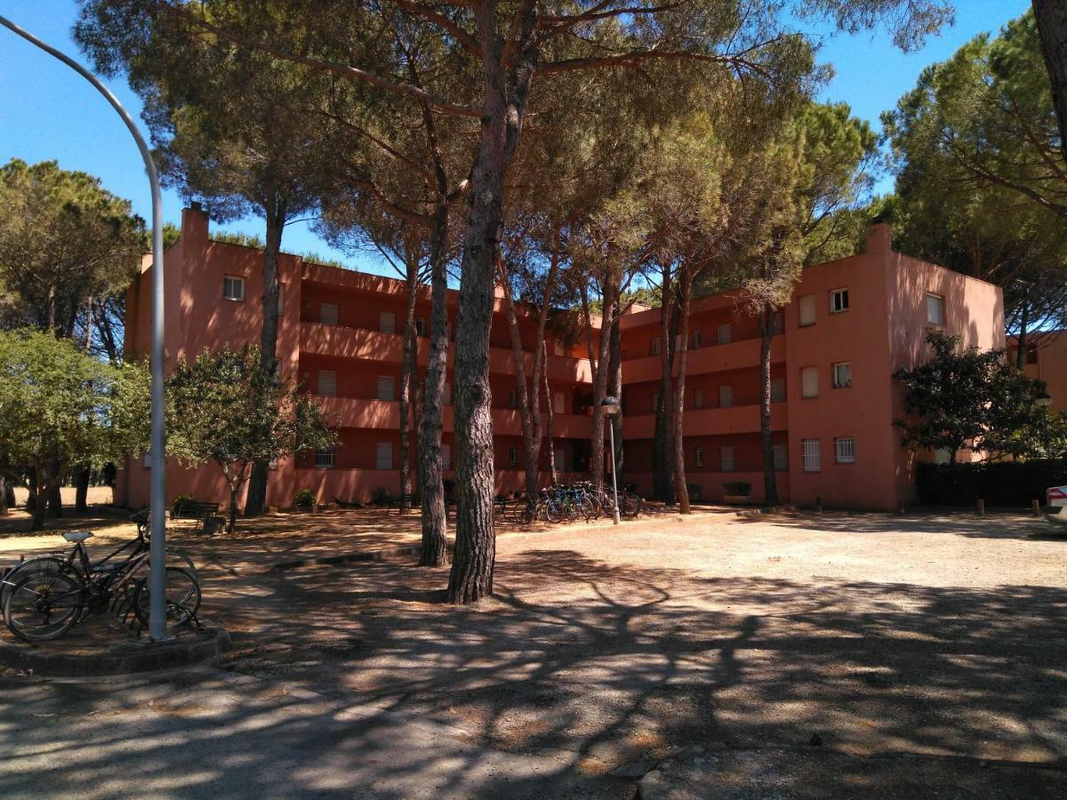 Bonito Apartamento, Con Piscina, Excelente Wifi Y Aire Acondicionado Pals Εξωτερικό φωτογραφία